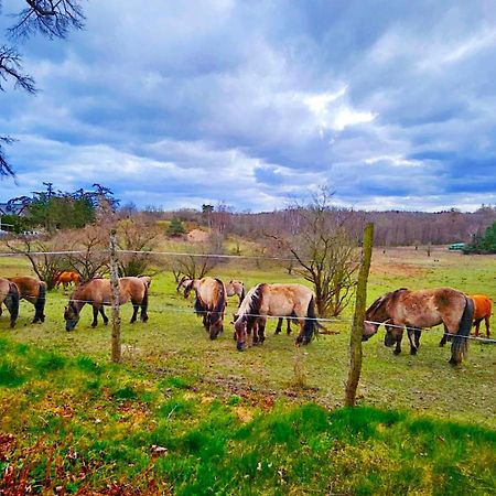 Vila Nadmorska Osada Oslonino Exteriér fotografie